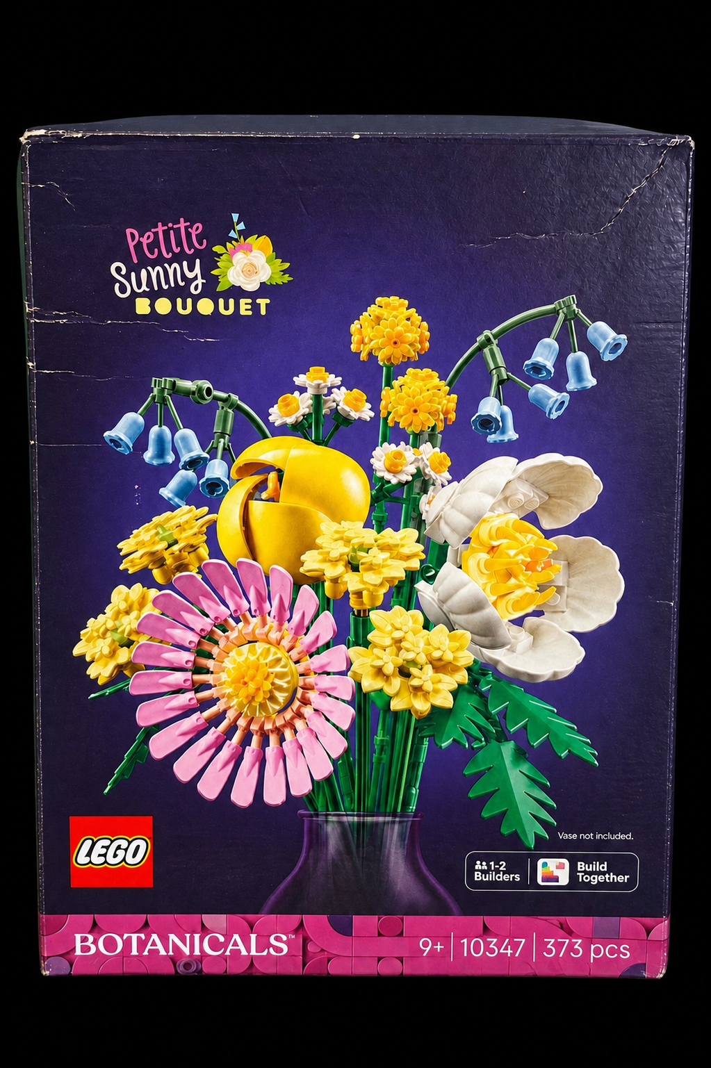 LEGO Botanicals 10347 – Mały słoneczny bukiet